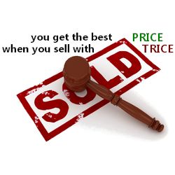 Intro to our Online Auction - Catalog Updated 7/6