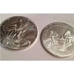 2011 MS-69 PURE SILVER 1 OZ AMERICAN EAGLE