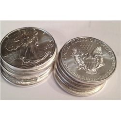 10 MS-69 PURE SILVER 1 OZ AMERICAN EAGLES