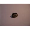 Image 1 : 14.55 CARAT SMOKY TOPAZ *BEAUTIFUL OVAL CUT/FACETED & POLISHED GEMSTONE*!!
