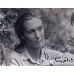 Jane Goodall