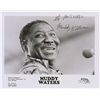 Image 1 : Muddy Waters