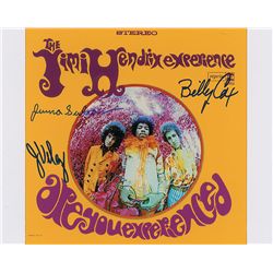 Jimi Hendrix: Gypsy Sun and Rainbows