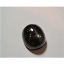 Black Star Sapphire  Cabochon Cut  12 x 10mm  6.20ct