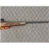 Image 5 : TIKKA T3 HUNTER .243win. WOOD/BLUE (NIB)