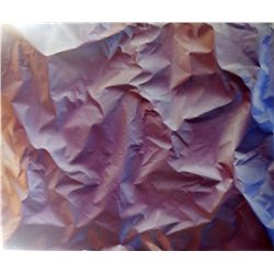 Paul Kane “Burgandy” original painting