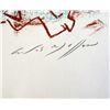 Image 2 : Andre Masson from "Flight Portfolio"