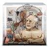 Image 1 : Red Grooms - "Picasso"