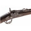 Image 1 : Springfield Model 1873 Trapdoor Carbine