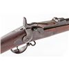 Image 1 : U.S. Model 1873 Trapdoor Rifle, by Springfield