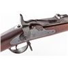 Image 1 : U.S. Model 1877 Trapdoor Rifle, by Springfield