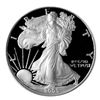 Image 1 : Proof Silver Eagle 2005-W