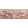Image 1 : USAAF PILOT FKIGHT WINGS--2"-CRIMP BACK