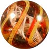 Image 3 : Marbles: Lot 152. Swirl. Divided Core. 3-Layer, latticinio form. 5/8". Mint 9.8.
