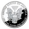Image 2 : Proof Silver Eagle 2013-W