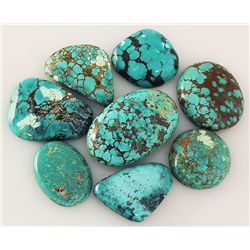 Natural Turquoise 201.90ctw Loose Small Gemstone Lot of 8
