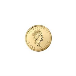 Canada Maple Leaf 20th Ounce Gold Coin (Dates Our Choice)