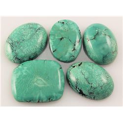 Natural Turquoise 185.32ctw Loose Small Gemstone Lot of 5