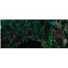 Image 10 : Predators - Parachute Harness