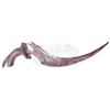 Image 1 : Predators - Predator's Bloody Knife