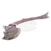 Image 4 : Predators - Predator's Fighting Axe