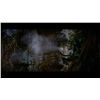 Image 8 : Raiders of the Lost Ark - Idol Temple Poison Arrow