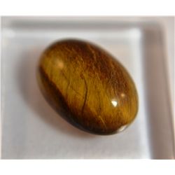 Gorgeous Tiger Eye Gemstone  5.30ct  Cabochon Cut  14 x 10mm