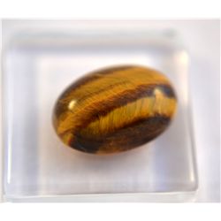 Gorgeous Tiger Eye Gemstone  5.50ct  Cabochon Cut  14 x 10mm