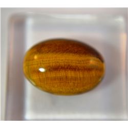 Gorgeous Tiger Eye Gemstone  5.30ct  Cabochon Cut  14 x 10mm