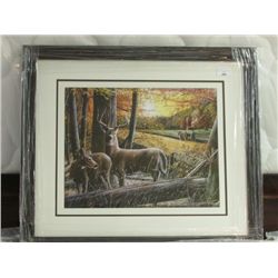 FRAMED PRINT "BROKEN SILENCE" - K DANIEL