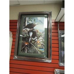 FRAMED PRINT " TWO EAGLES