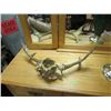Image 1 : MOOSE ANTLERS