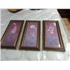 Image 1 : FRAMED PICTURE SET - FLOWERS - 3PC