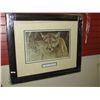 Image 1 : FRAMED PRINT "TROPICAL COUGAR" ROBERT BATEMAN