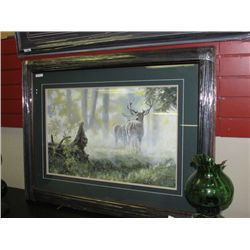 FRAMED LIMITED EDITION "ALERT" - ANDREW KISS