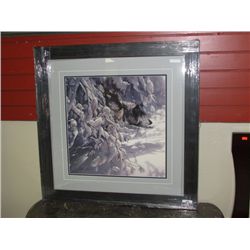 FRAMED PRINT "MY BROTHERS KEEPER" - COLIN BOGLE