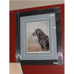 FRAMED LIMITED EDITION "BLACK LAB" - TAMMY LAYE