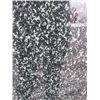 Image 2 : GRANITE - OVAL - EBONY PEARL