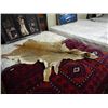 Image 1 : DEER HIDE