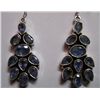 Image 1 : 13.70g Earring of Tanzanite in silver