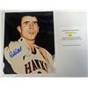 Image 2 : 2 NBA 8 x 10 color Autographed photos.  Damon Stoudemire & Bob Pettit.