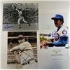 Image 1 : 3 - MLB Autographed 8x10 photos.  Ken Griffey Sr, Billy Herman, Fergie Jenkins.