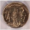 Image 2 : 1938-D BUFFALO NICKEL PCGS MS66