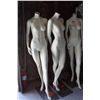 Image 1 : LOT 3 MANNEQUINS AND STEEL STANDS