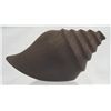 Image 1 : Mexican Vintage Carved Ironwood Conch Shell
