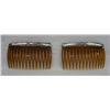 Image 1 : Pair of Native American Hair Combs by Dalgia