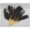 Image 1 : Vinta Black Ostrich Feather Celluloid Fan