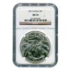 Image 1 : Certified Uncirculated Silver Eagle MS70 (date of our c