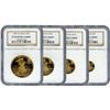 Image 1 : Certified Proof American Gold Eagle $25 W PF70 NGC (DAT