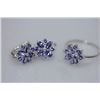 Image 1 : 28.02 CTW TANZANITE SET .925 STERLING SILVER